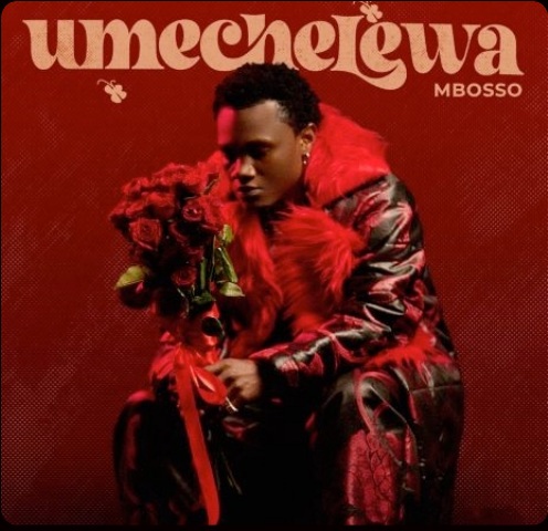 Umechelewa cover artwork